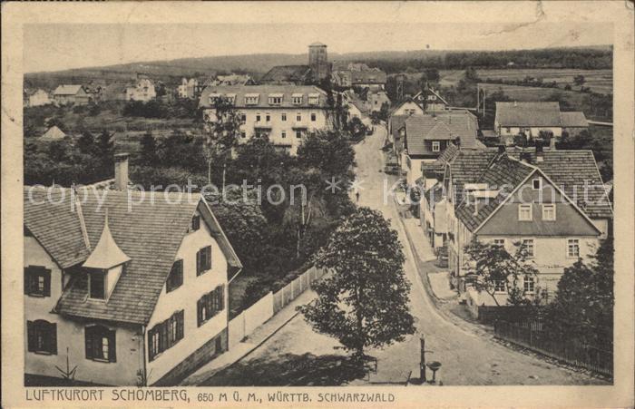 Schoemberg Schwarzwald Teilansicht Luftkurort