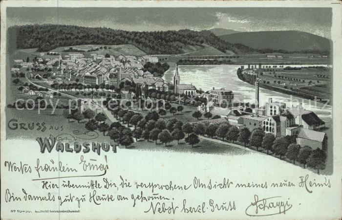 Waldshut Tiengen Rhein Totalansicht