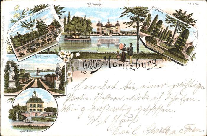 Moritzburg Sachsen Wildschweine Kgl Jagdschloss Kgl Hofgarten Leuchtthurm Fasan