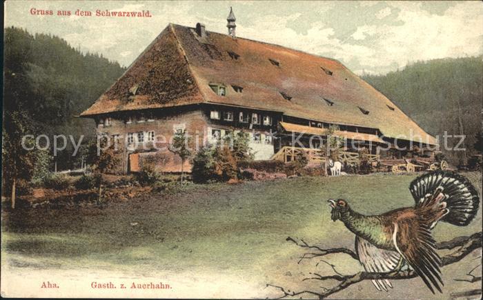 Aha Schluchsee Gasthaus zum Auerhahn