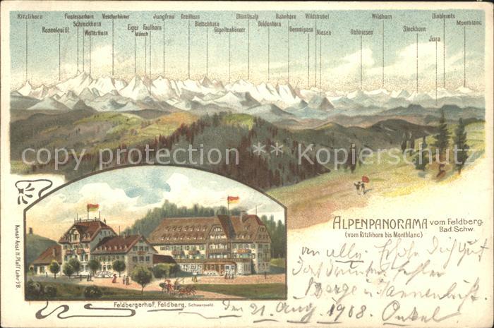 Feldberg Schwarzwald Alpenpanorama vom Ritzlihorn bis Montblanc Hotel Feldberger