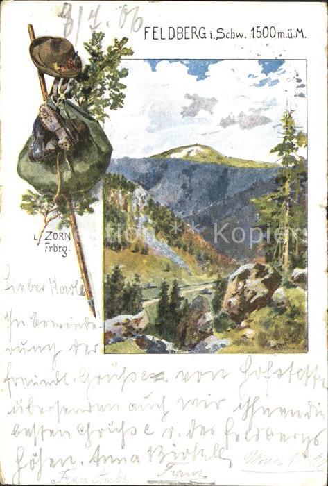 Feldberg Schwarzwald Panorama