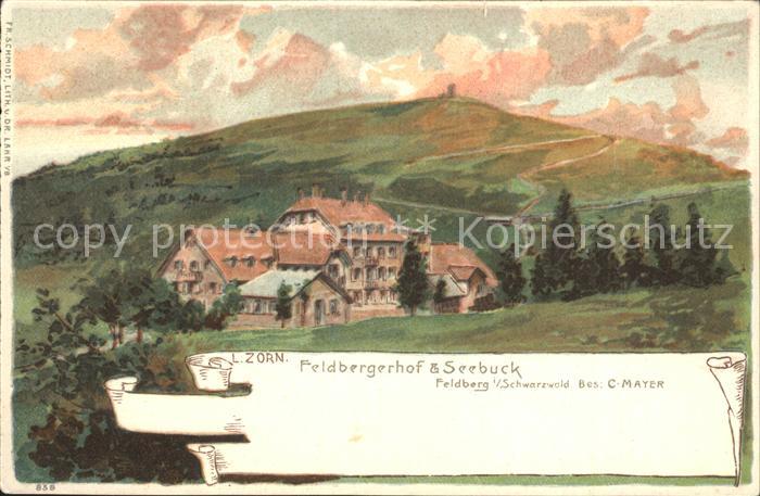 Feldberg Schwarzwald Feldberger Hof und Seebuck