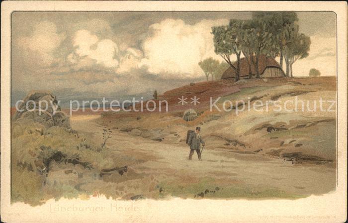 Lueneburger Heide Heidepartie