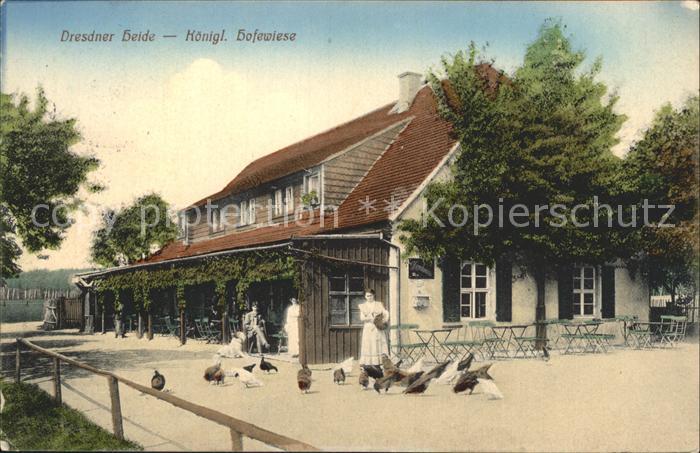DRESDEN Elbe Koenigliche Hofewiese Restaurant Huehner Dresdner Heide