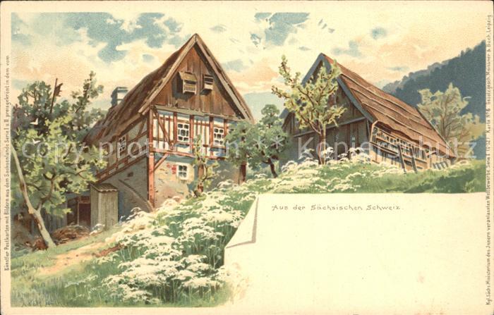 Bad Schandau Bauernhaeuser Kuenstlerkarte