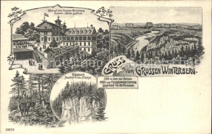 Grosser Winterberg Saechs. Schweiz Hotel Kipphorn Elbsandsteingebirge Hirsch