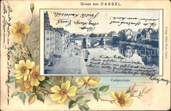Cassel Kassel Fuldabruecke Blumen