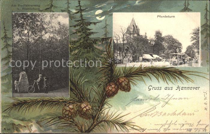 HANNOVER  CITY Radfahrerweg Pferdeturm Tannenzapfen