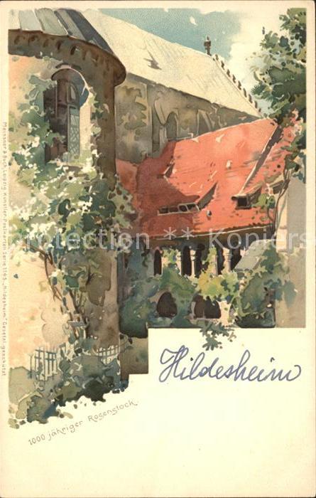 HILDESHEIM  CITY 1000jaehriger Rosenstock Kuenstlerkarte