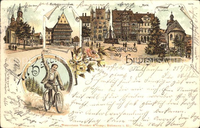 HILDESHEIM  CITY Dom Knochenhaueramtshaus Markt 1000jaehriger Rosenstock