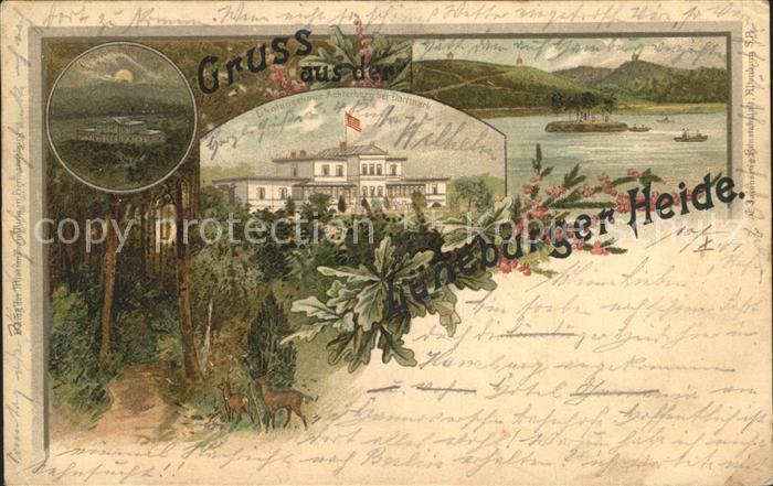 Dorfmark Erholungshaus Achterberg Waldpartie Rehe Lueneburger Heide