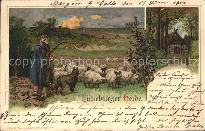 Lueneburger Heide Schaefer Heidschnucken Landschaft Bauernhof