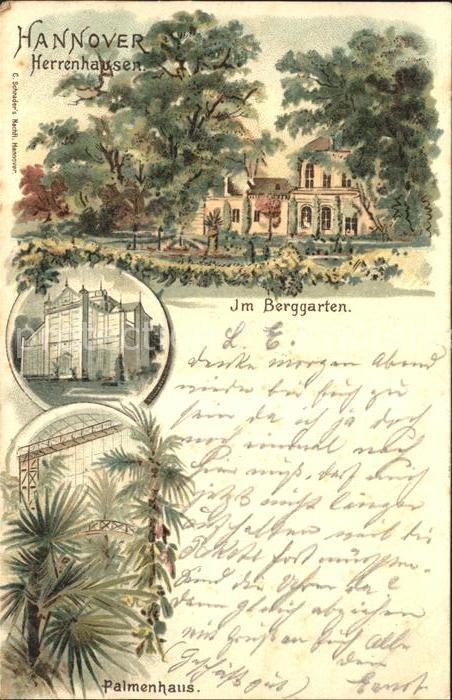 Herrenhausen Hannover Im Berggarten Palmenhaus Kuenstlerkarte Reichspost