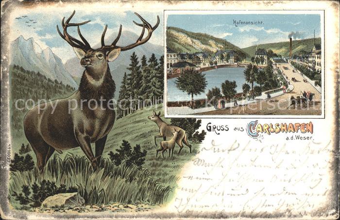 Carlshafen Hirsch Hafen Promenade