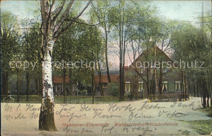 Eilenriede Waldwirtschaft Bischofshole