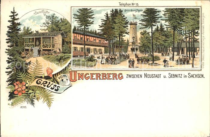 Neustadt Sachsen Sennhuette Ungerberg Prinz Georg Thurm