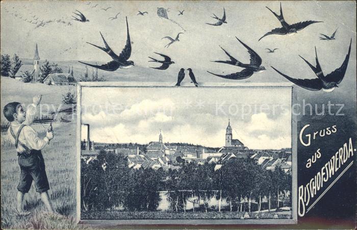 Bischofswerda Panorama Junge mit Drachen