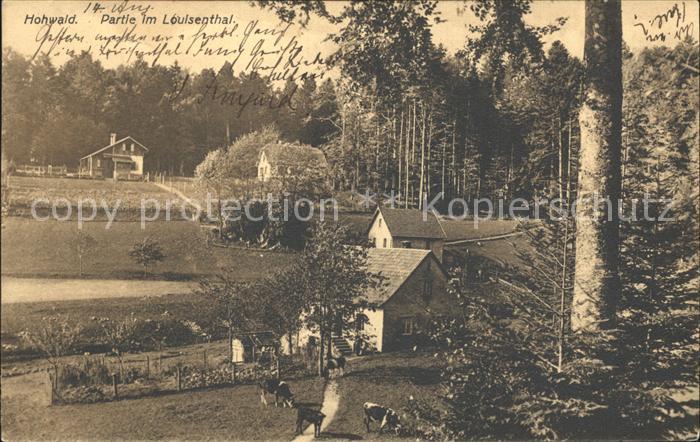 Hohwald Sachsen Partie im Louisenthal