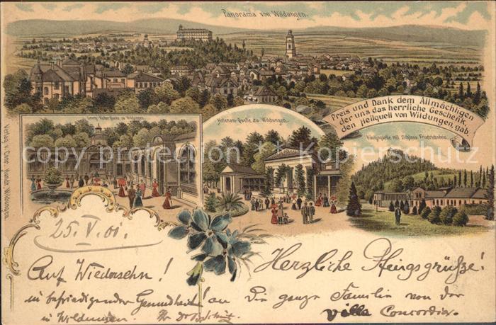 Bad Wildungen Panorama Georg Victor Quelle Helenen Quelle Koenigsquelle mit Schl