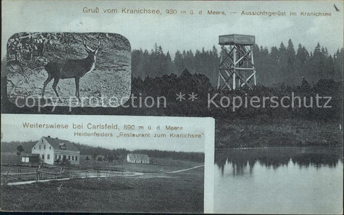 Carlsfeld Erzgebirge Weiterswiese Restaurant zum Kranichsee Hirsch Aussichtsgeru