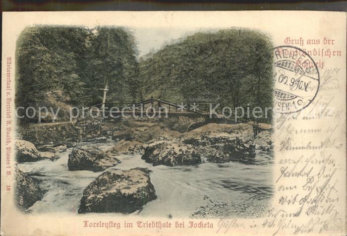 Jocketa Loreleysteg im Triebtal Saechsische Schweiz