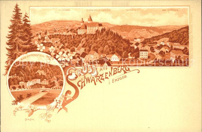 Schwarzenberg Erzgebirge Panorama mit Schloss Bad Ottenstein Reichspost Litho