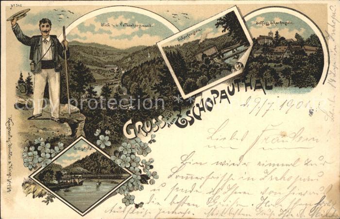 Zschopau Falkenhorstwand Schloss Scharfenstein Wilischtal