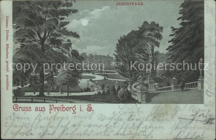 Freiberg Sachsen Albertpark im Mondschein
