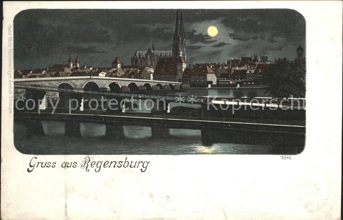 REGENSBURG Bayern Donaubruecke Dom im Mondschein