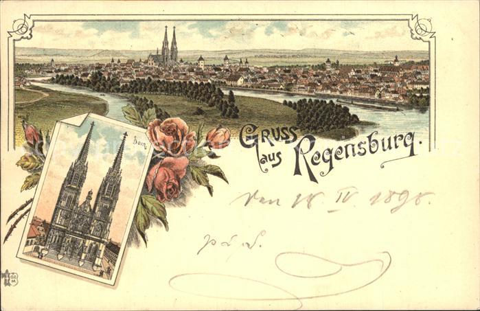 REGENSBURG Bayern Panorama Dom Litho
