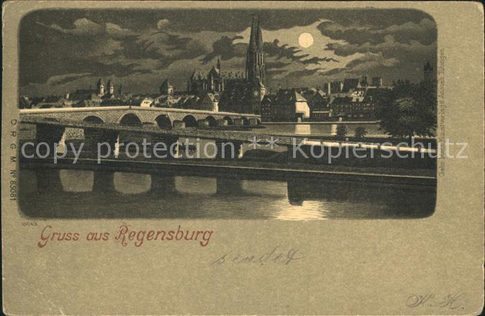 REGENSBURG Bayern Donaubruecke Dom im Mondschein