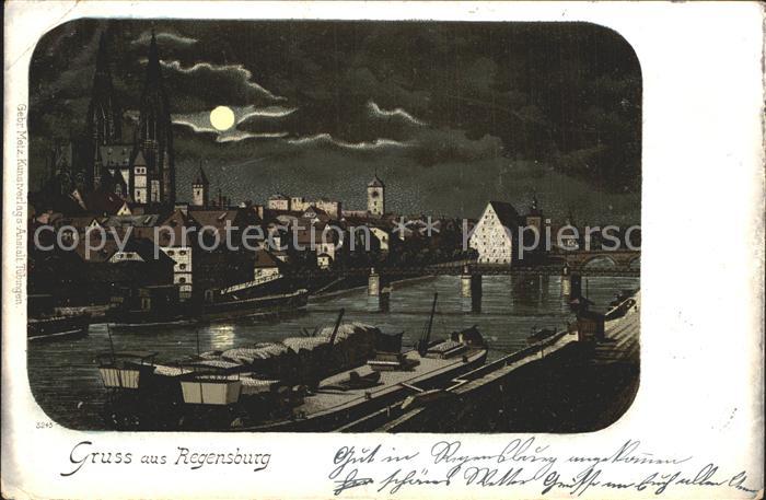 REGENSBURG Bayern Panorama Donau Dom im Mondschein