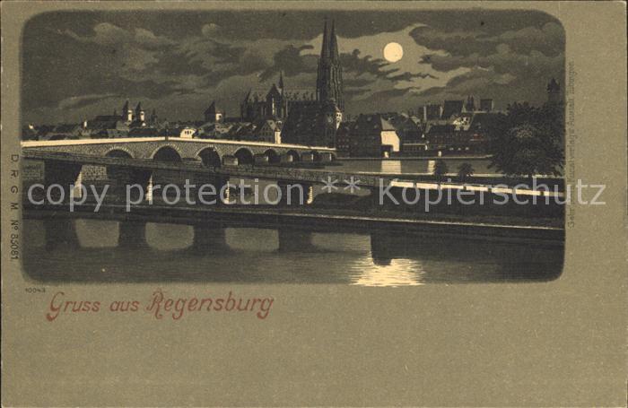 REGENSBURG Bayern Donau Bruecke Dom im Mondschein