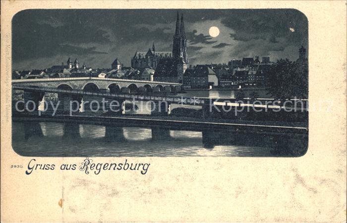 REGENSBURG Bayern Donau Bruecke Dom im Mondschein