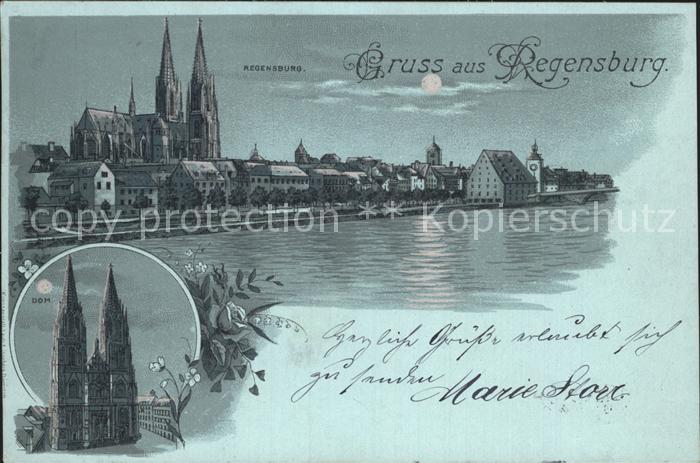 REGENSBURG Bayern Stadtbild mit Dom im Mondschein