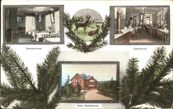 Georgengruen Vogtland Hotel Pension Waldschuster Rehe