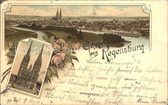 REGENSBURG Bayern Panorama Dom Litho