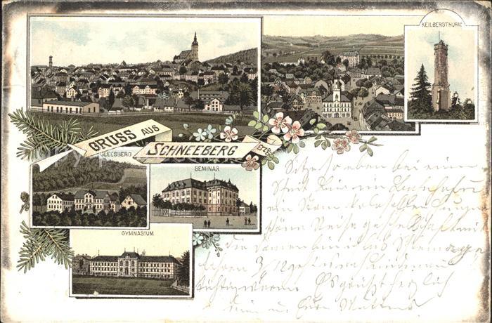 Schneeberg Erzgebirge Ortsansicht mit Kirche Seminar Gymnasium Keilbergturm Glee