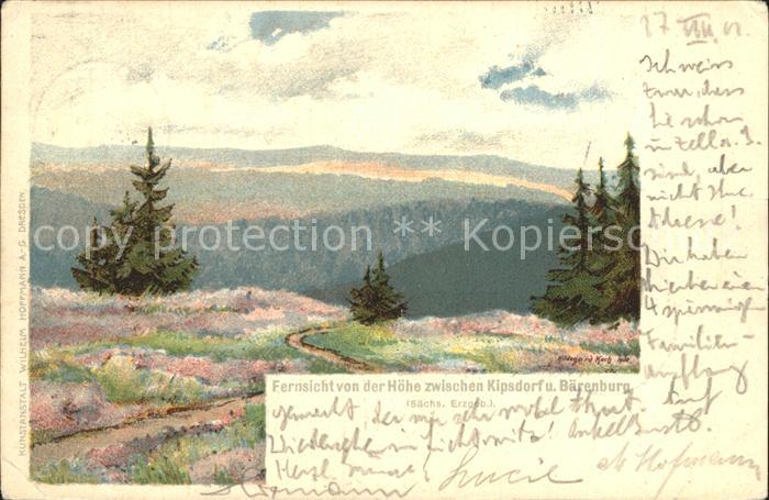 Kipsdorf Fernsicht von der Hoehe nach Baerenburg