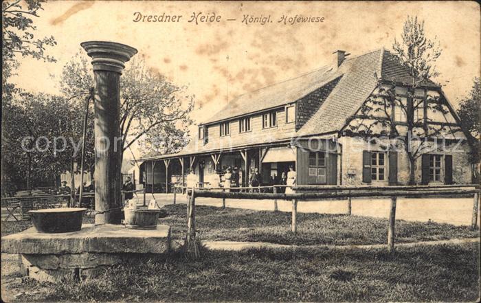 DRESDEN Elbe Koenigliche Hofewiese