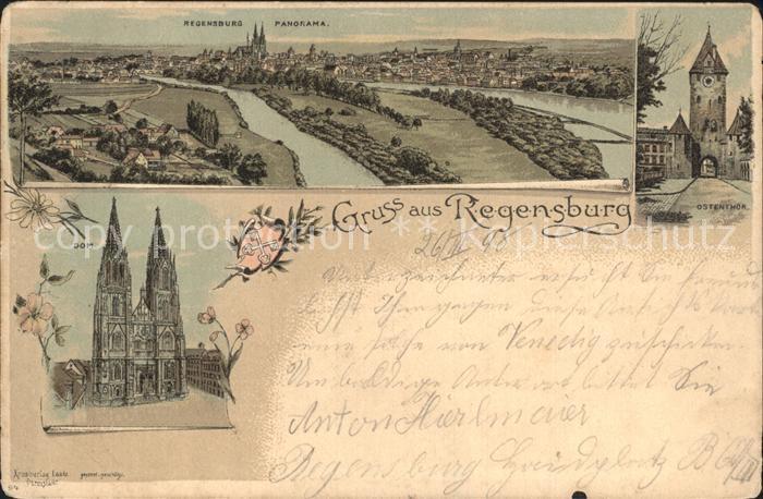 REGENSBURG Bayern Ostentor Dom Panorama