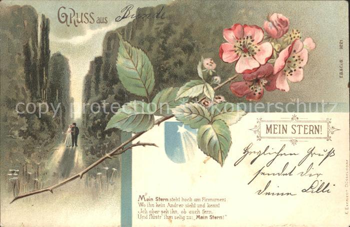 Blumen Gedicht Mein Stern Litho