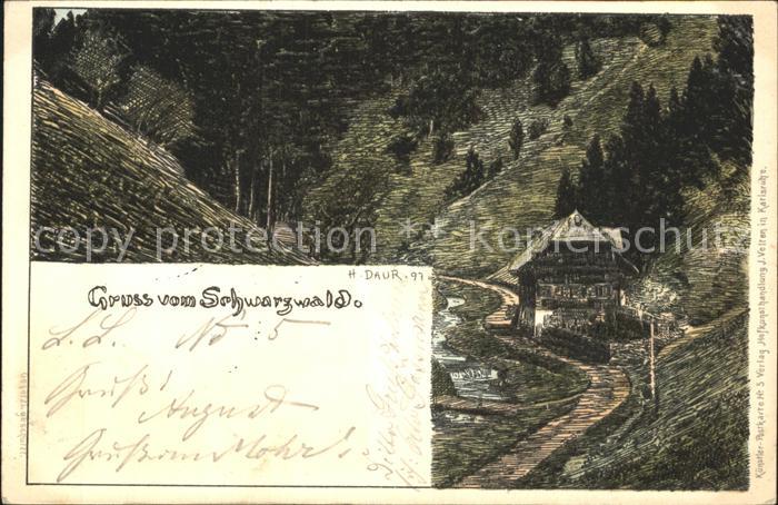 Daur Hermann Schwarzwald