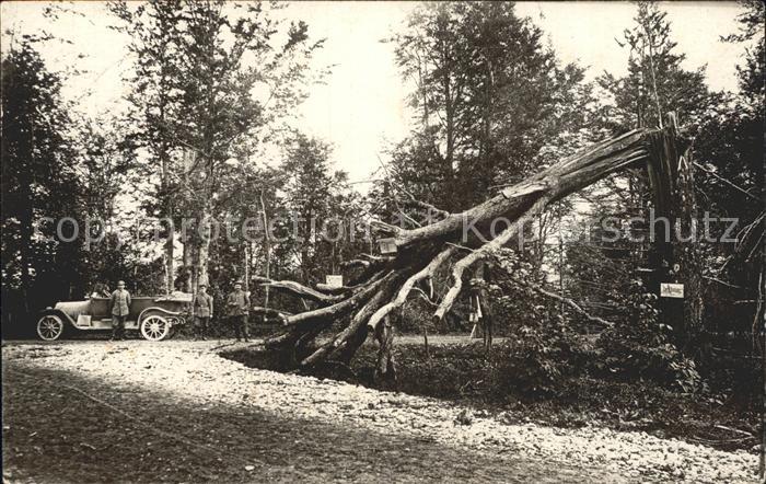 Regimente LIR 122 3. Kompanie Auto Baum