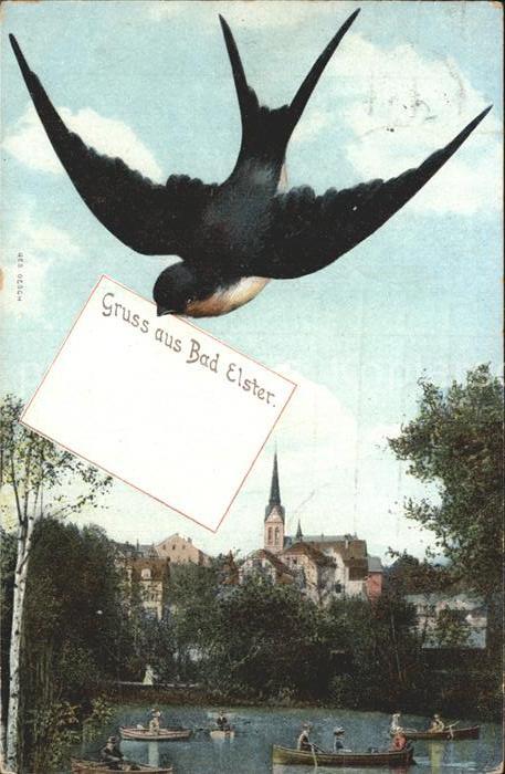Schwalbenkarte Bad Elster