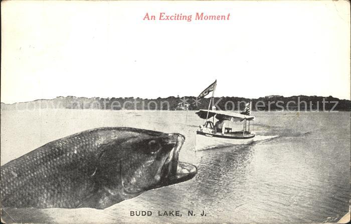 Fotomontage Fotocollage Fisch Boot Budd Lake New Jersey