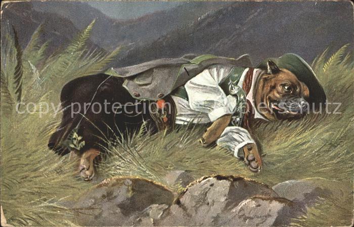 Vermenschlicht Hund Tracht