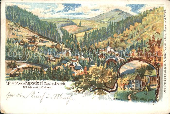Kipsdorf Panorama Bauernhaus Kuenstlerkarte Reichspost
