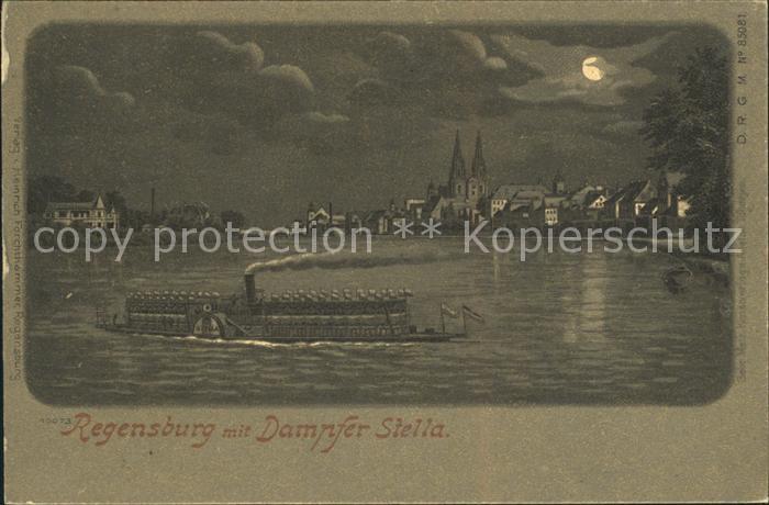 REGENSBURG Bayern Dampfer Stella Dom St Peter im Mondschein